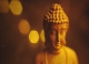 THE BUDDHISM IS THE ONLY SCIENCE WHICH STUDIED  THE HUMAN DEEPLY AND COMPREHENSIVELY